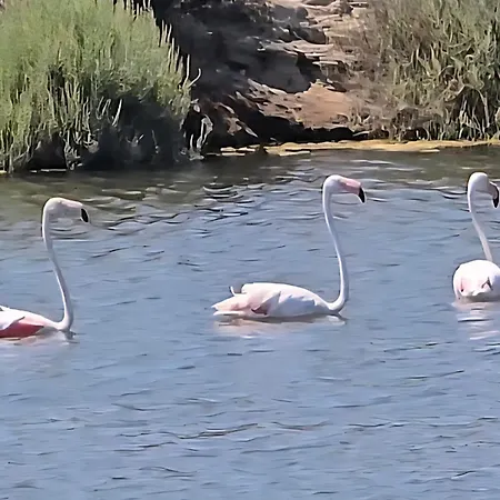 Tenuta Feraxi - Private Paradise מלון San Priamo