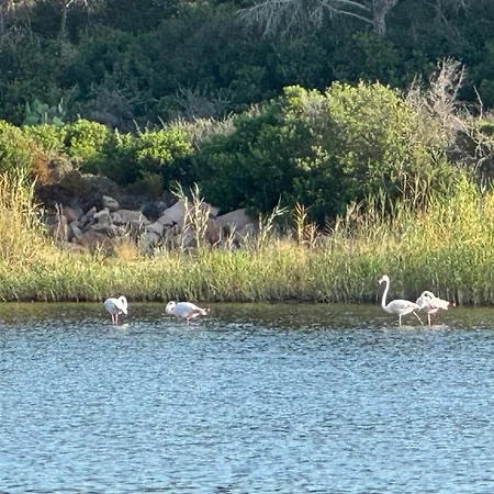 מלון Tenuta Feraxi - Private Paradise